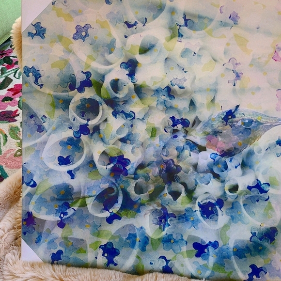 Parvez Taj hummingbird canvas - Picture 3 of 8